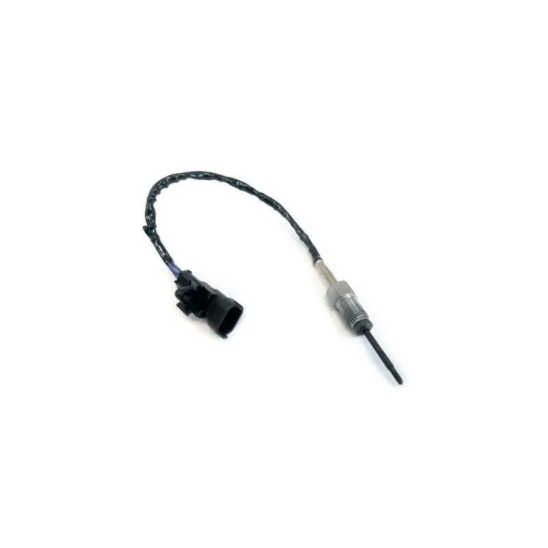 Capteur, température des gaz HOFFER 7452032