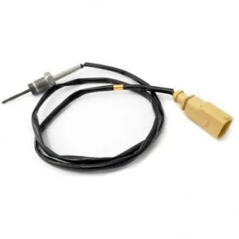Capteur, température des gaz HOFFER 7452038