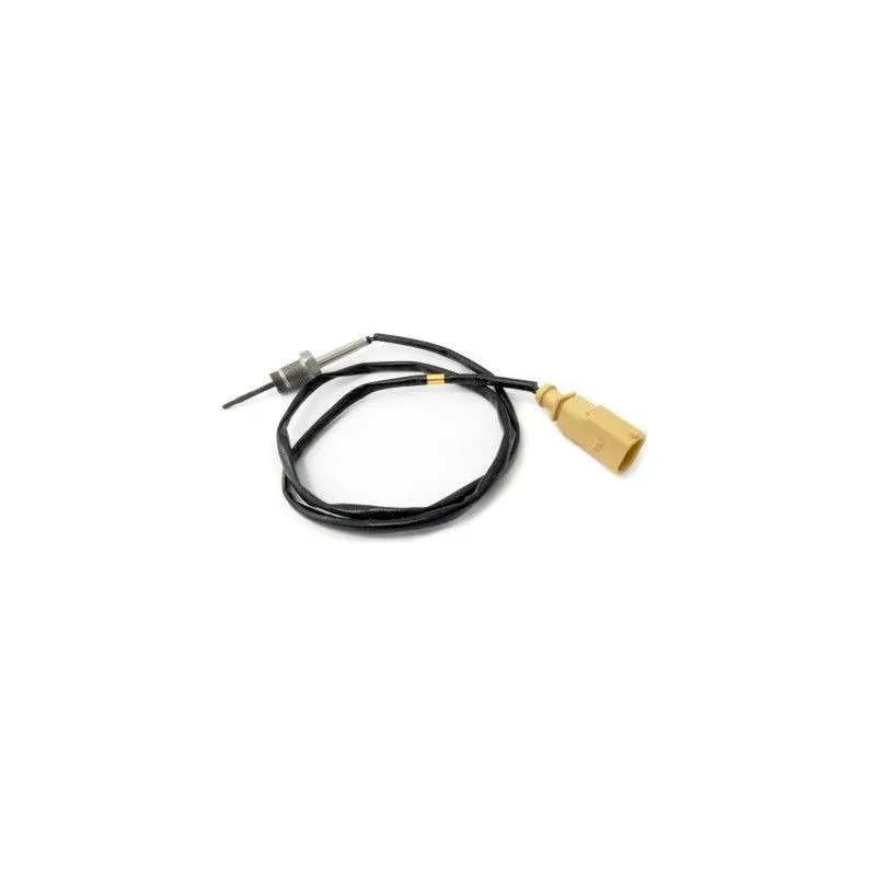 Capteur, température des gaz HOFFER 7452038