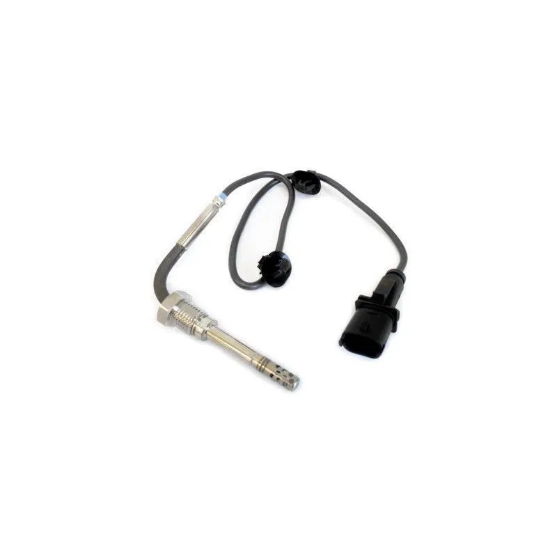 Capteur, température des gaz HOFFER 7452047