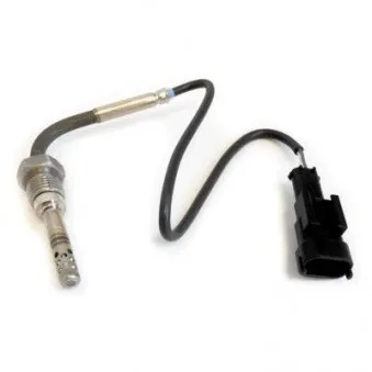 Capteur, température des gaz HOFFER 7452048