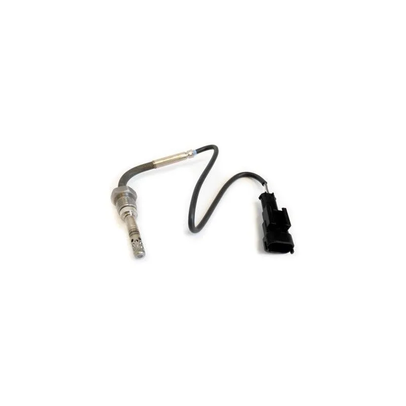 Capteur, température des gaz HOFFER 7452048