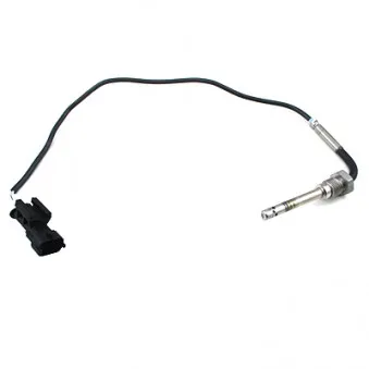 Capteur, température des gaz HOFFER 7452049