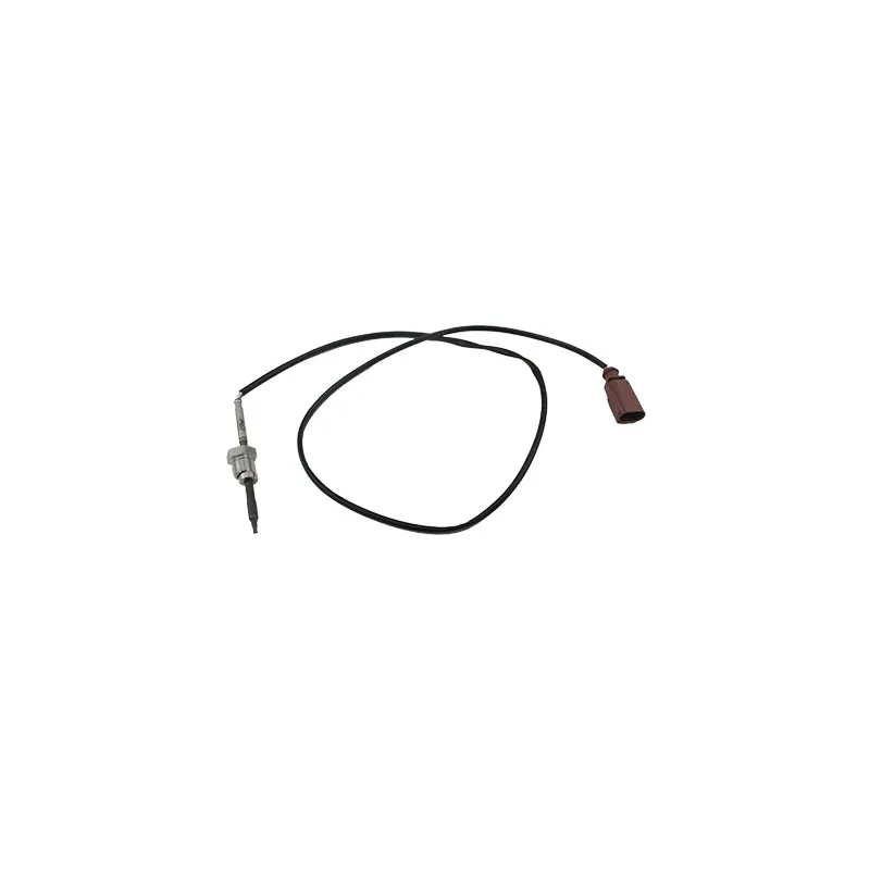 Capteur, température des gaz HOFFER 7452050E