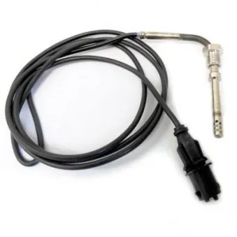 Capteur, température des gaz HOFFER 7452062