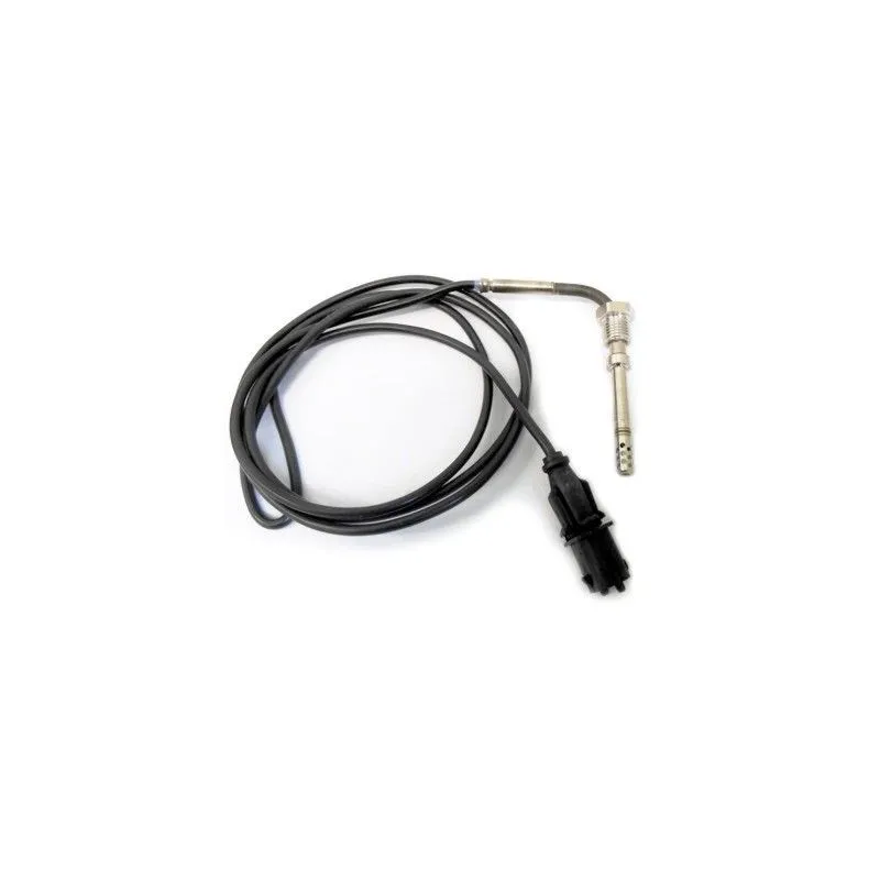 Capteur, température des gaz HOFFER 7452062