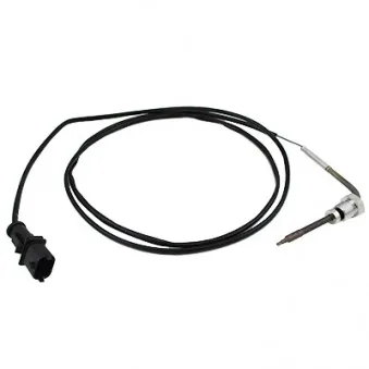 Capteur, température des gaz HOFFER 7452062E