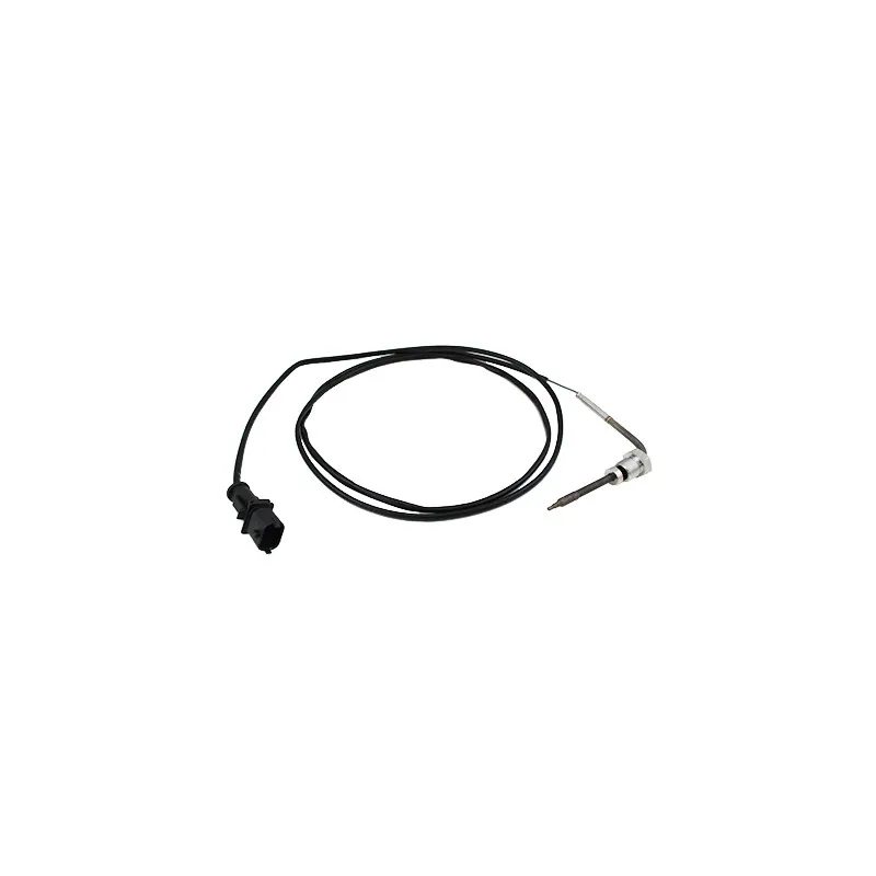 Capteur, température des gaz HOFFER 7452062E