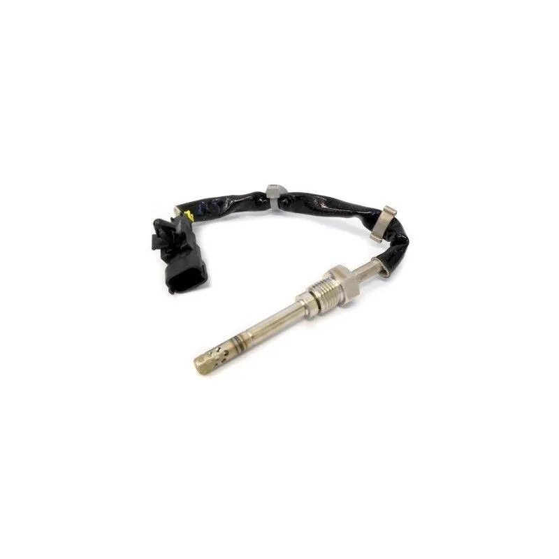 Capteur, température des gaz HOFFER 7452065