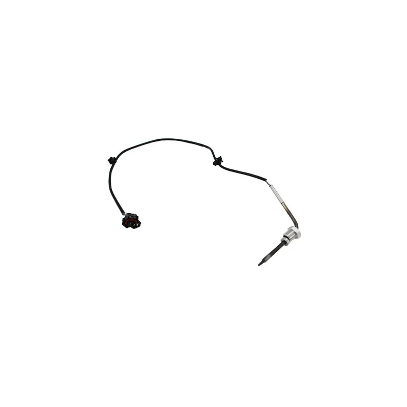 Capteur, température des gaz HOFFER 7452067