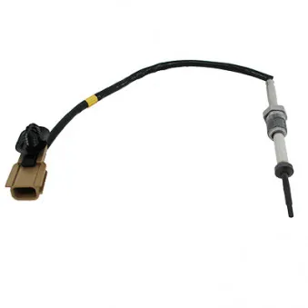Capteur, température des gaz HOFFER 7452069