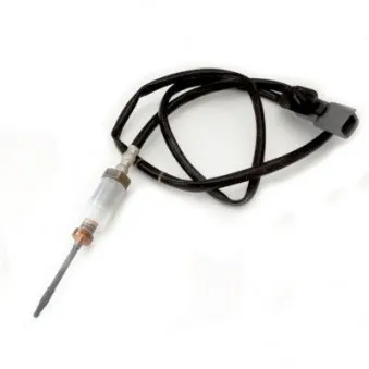 Capteur, température des gaz HOFFER 7452072
