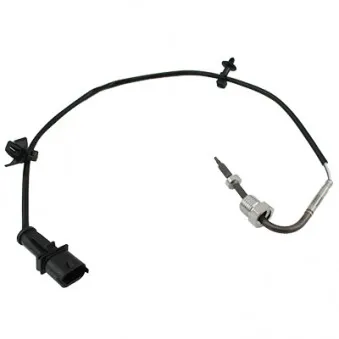 Capteur, température des gaz HOFFER