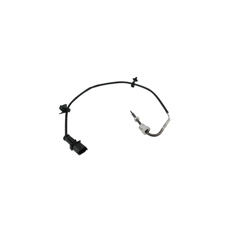 Capteur, température des gaz HOFFER 7452073