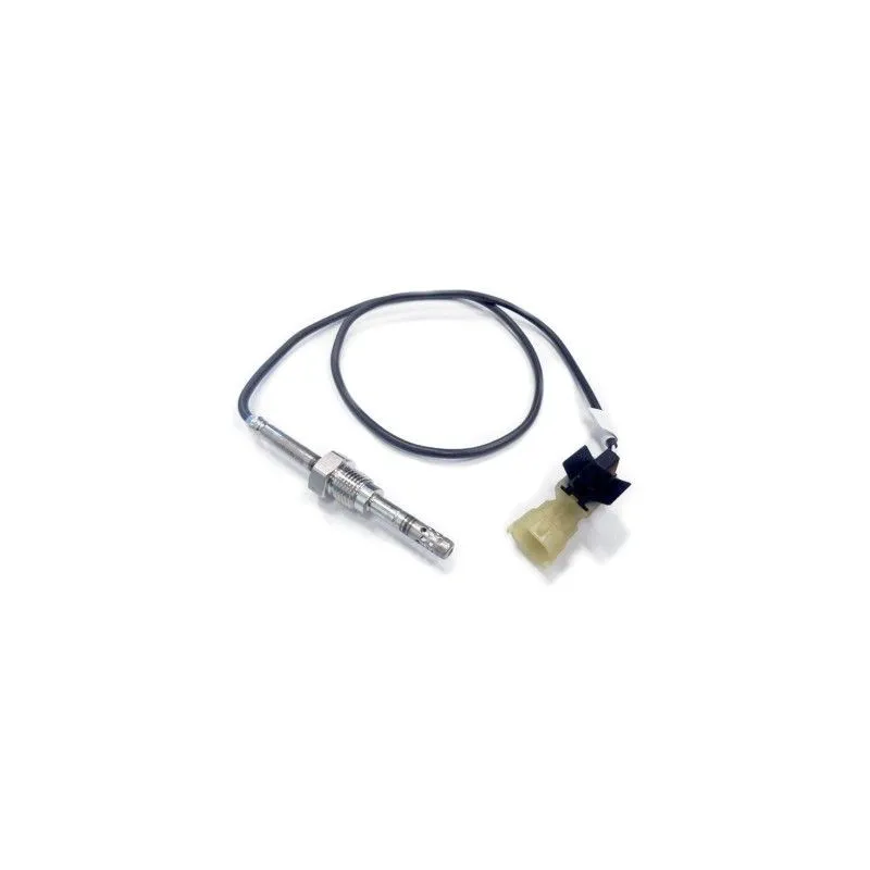 Capteur, température des gaz HOFFER 7452075