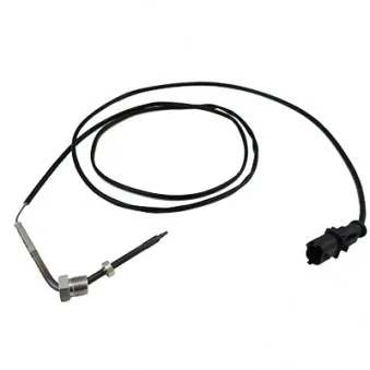 Capteur, température des gaz HOFFER 7452076