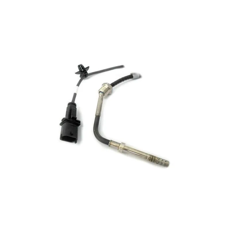 Capteur, température des gaz HOFFER 7452078