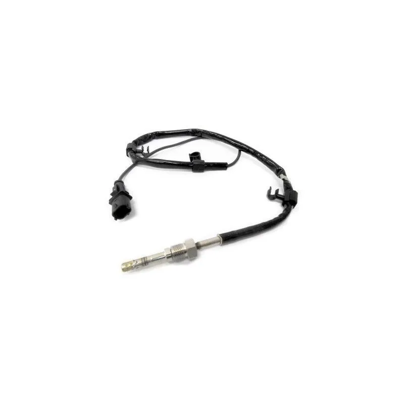 Capteur, température des gaz HOFFER 7452082