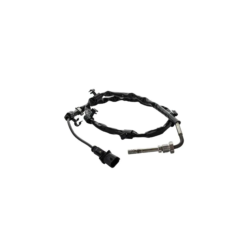 Capteur, température des gaz HOFFER 7452085