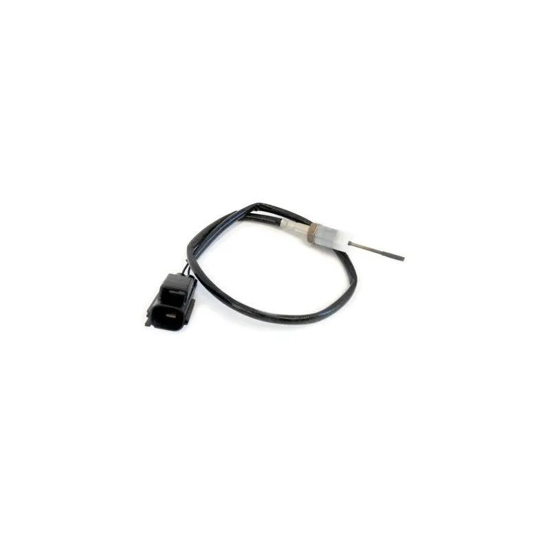 Capteur, température des gaz HOFFER 7452086