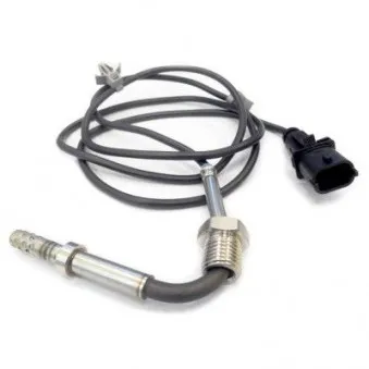 Capteur, température des gaz HOFFER 7452088