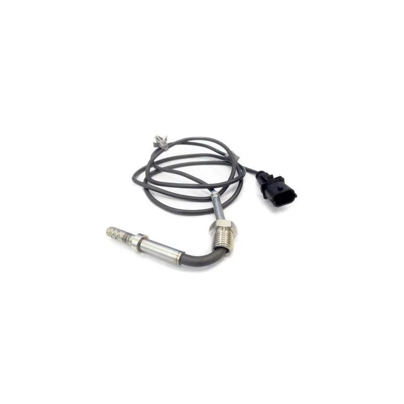 Capteur, température des gaz HOFFER 7452088