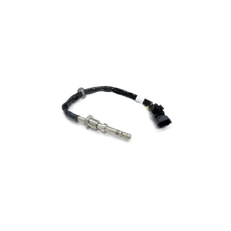 Capteur, température des gaz HOFFER 7452093