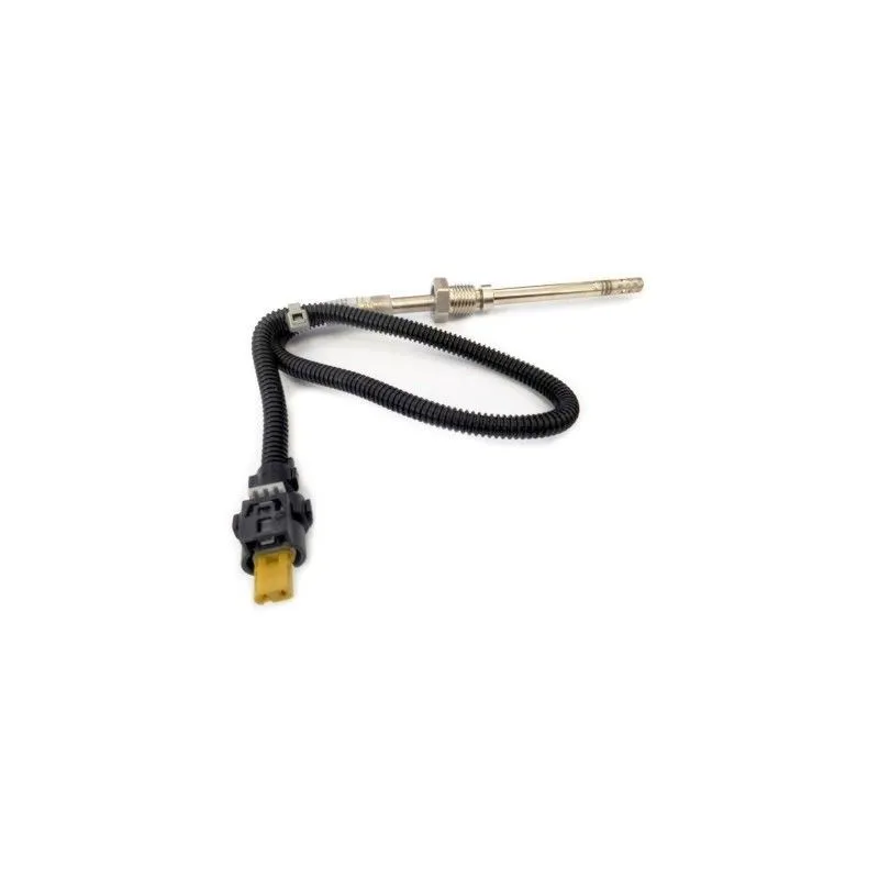 Capteur, température des gaz HOFFER 7452103