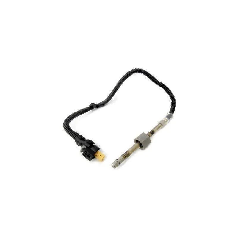 Capteur, température des gaz HOFFER 7452104