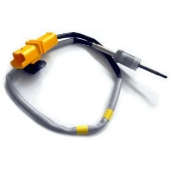 Capteur, température des gaz HOFFER 7452108