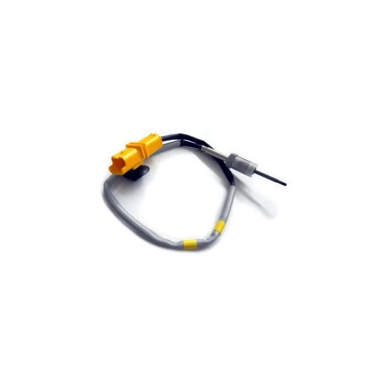 Capteur, température des gaz HOFFER 7452108