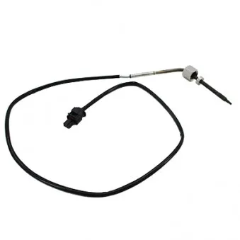 Capteur, température des gaz HOFFER 7452112