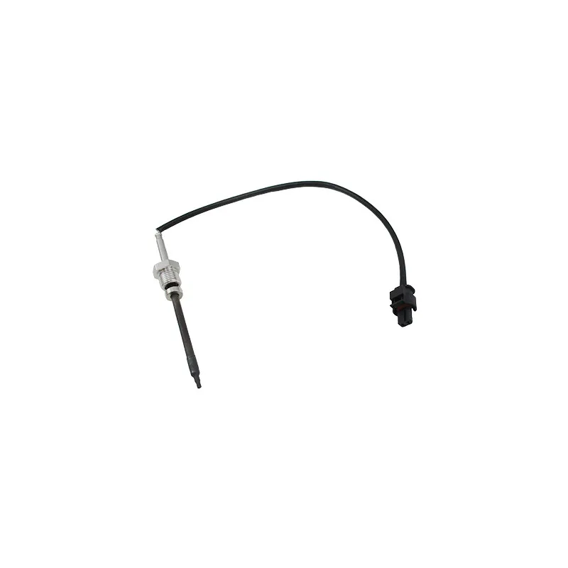 Capteur, température des gaz HOFFER 7452115E