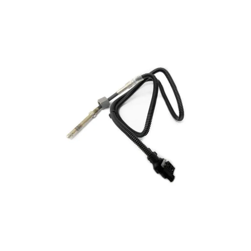 Capteur, température des gaz HOFFER 7452116