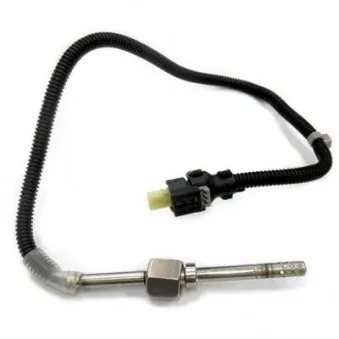 Capteur, température des gaz HOFFER 7452120