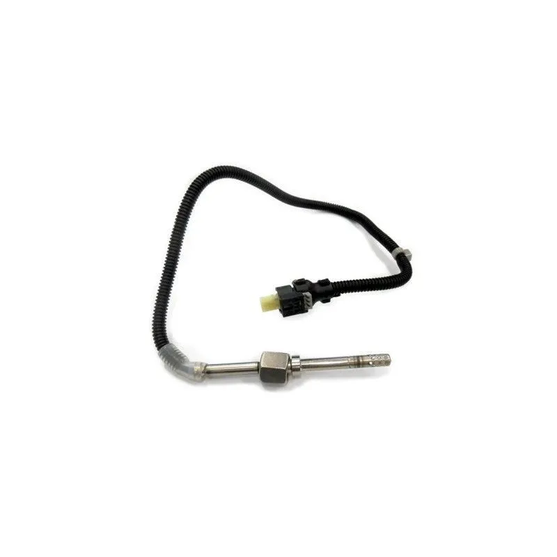 Capteur, température des gaz HOFFER 7452120