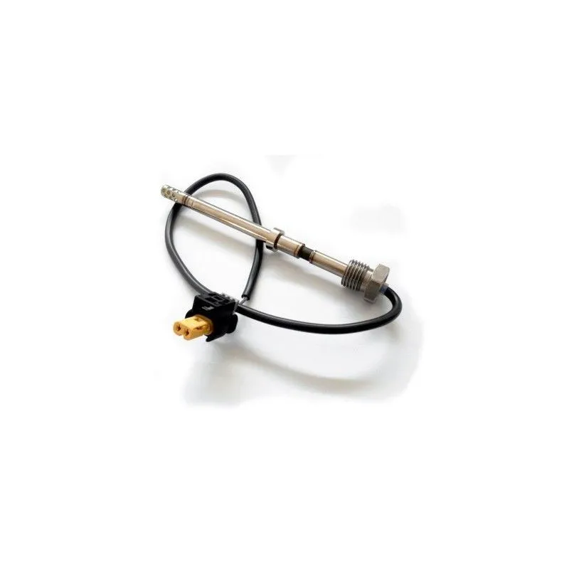 Capteur, température des gaz HOFFER 7452124