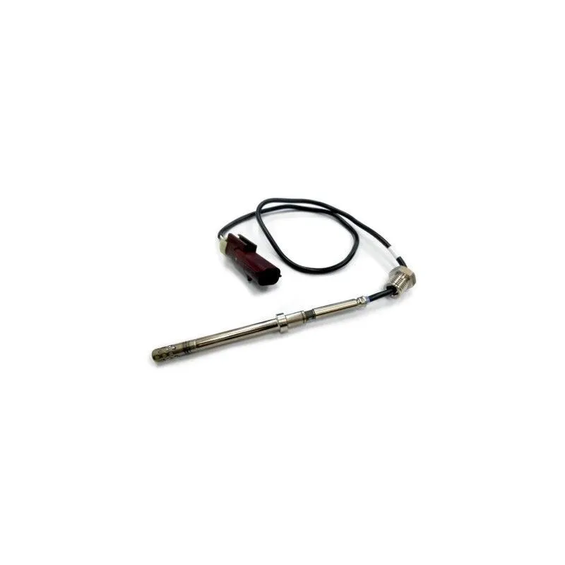 Capteur, température des gaz HOFFER 7452128