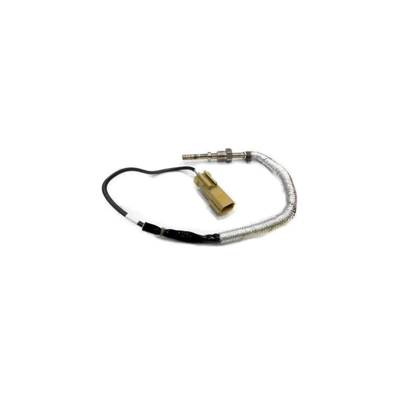 Capteur, température des gaz HOFFER 7452130