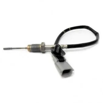 Capteur, température des gaz HOFFER 7452134