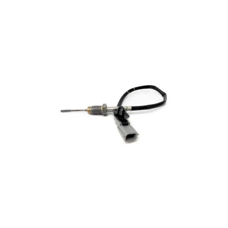 Capteur, température des gaz HOFFER 7452134