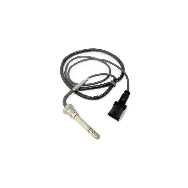 Capteur, température des gaz HOFFER 7452135