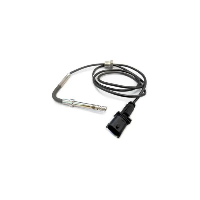 Capteur, température des gaz HOFFER 7452136