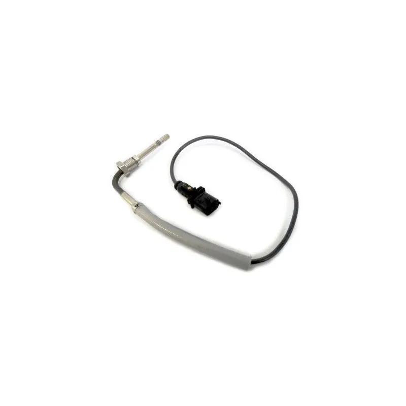 Capteur, température des gaz HOFFER 7452142