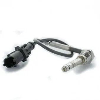 Capteur, température des gaz HOFFER 7452143