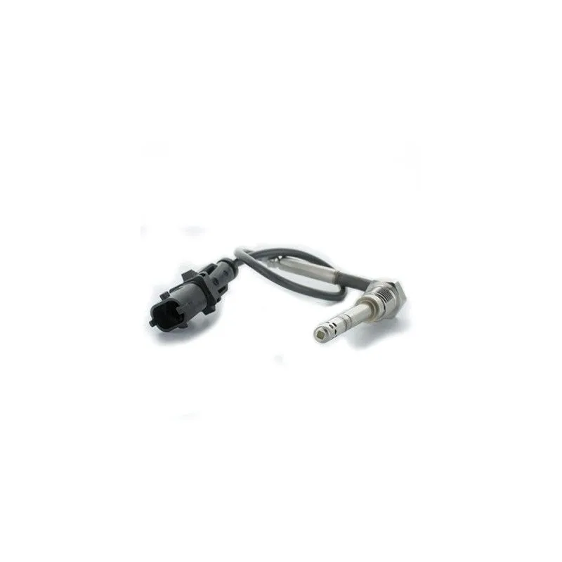 Capteur, température des gaz HOFFER 7452143
