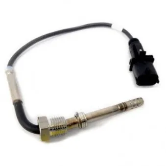 Capteur, température des gaz HOFFER 7452144