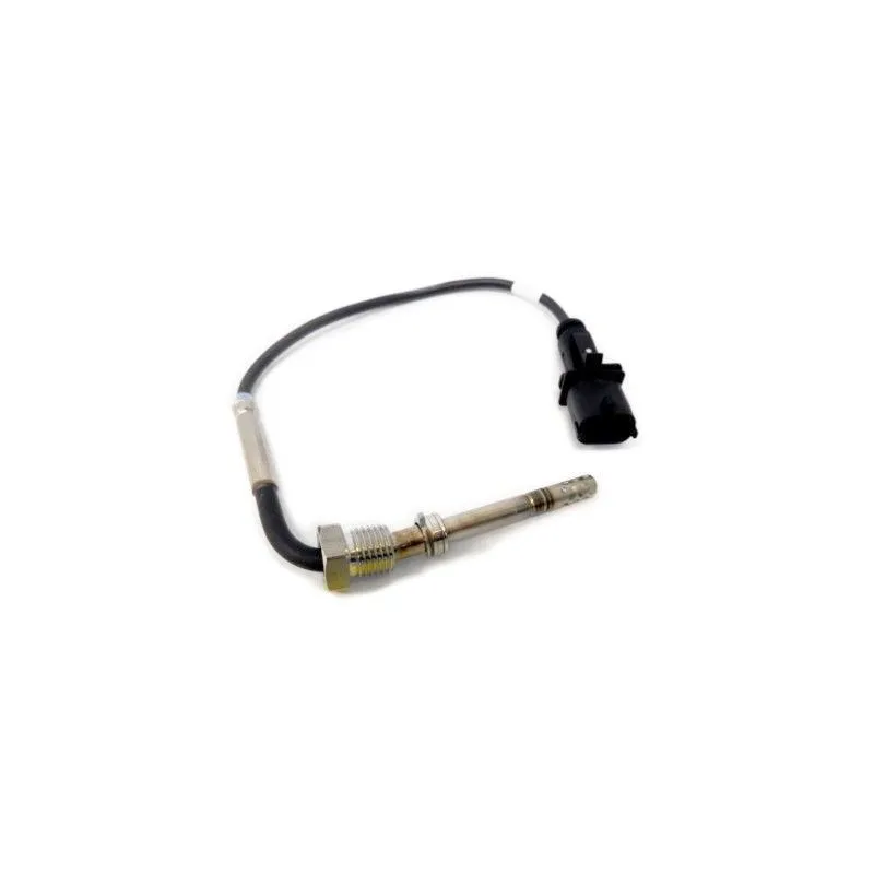 Capteur, température des gaz HOFFER 7452144