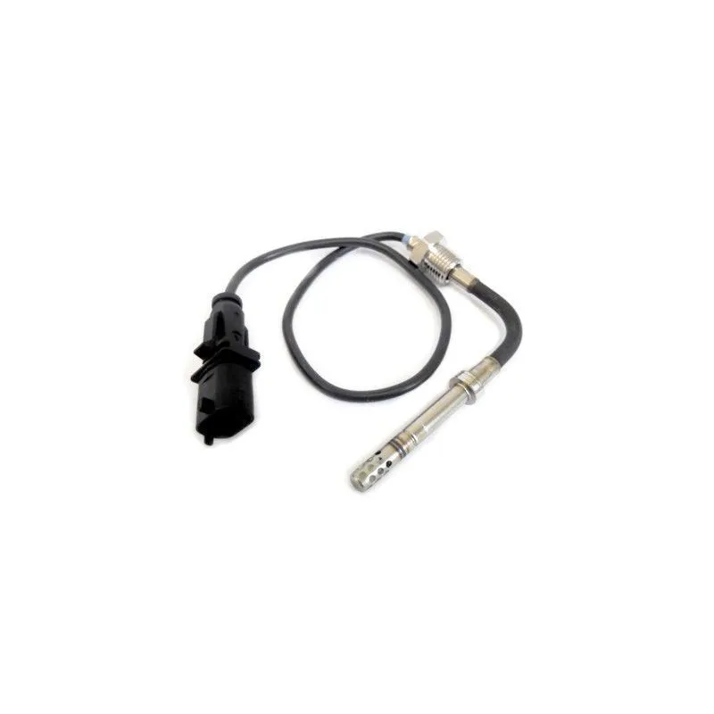 Capteur, température des gaz HOFFER 7452147