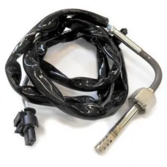 Capteur, température des gaz HOFFER